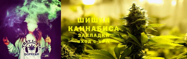 МДПВ Богданович