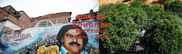 ПСИЛОЦИБИНОВЫЕ ГРИБЫ Богородск