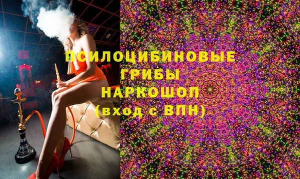 ПСИЛОЦИБИНОВЫЕ ГРИБЫ Богородск