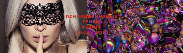 ПСИЛОЦИБИНОВЫЕ ГРИБЫ Богородск