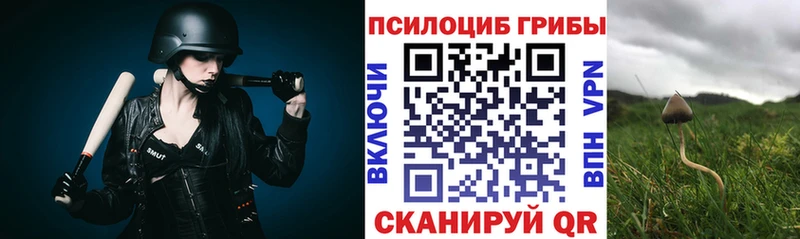 Купить где  Минусинск  Галлюциногенные грибы Cubensis 